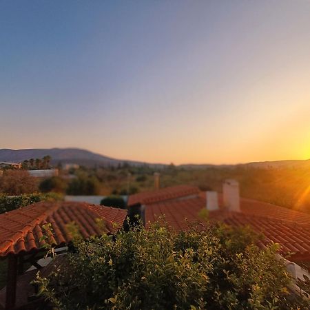 New Olivka House Villa Anavyssos Bagian luar foto